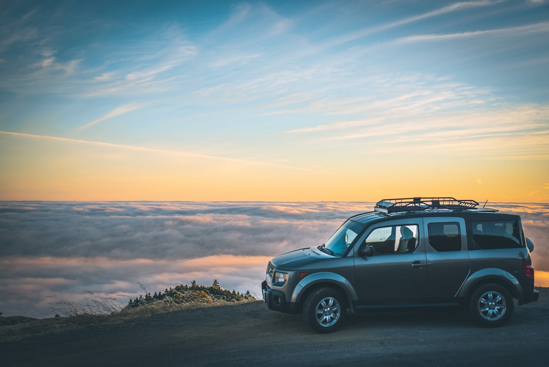 Harnessing Social Media to Promote Your Adventure Travels